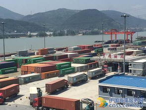 富陽東洲碼頭海關監管場所喜迎“開門紅” 高標準建設與智慧化管理雙輪驅動